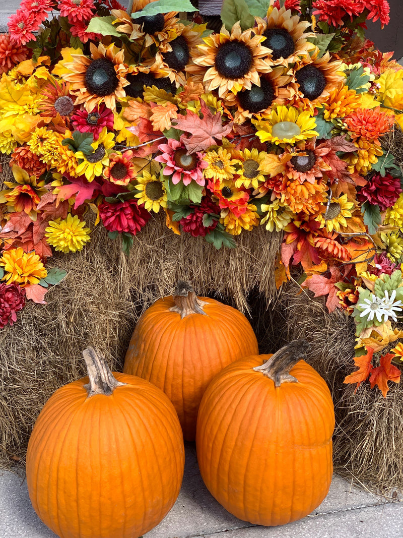 Halloween Flowers in Nashville: Spooky, Stylish Ideas for Your Home and Party