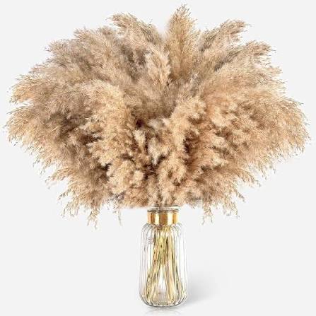 Pampas Grass