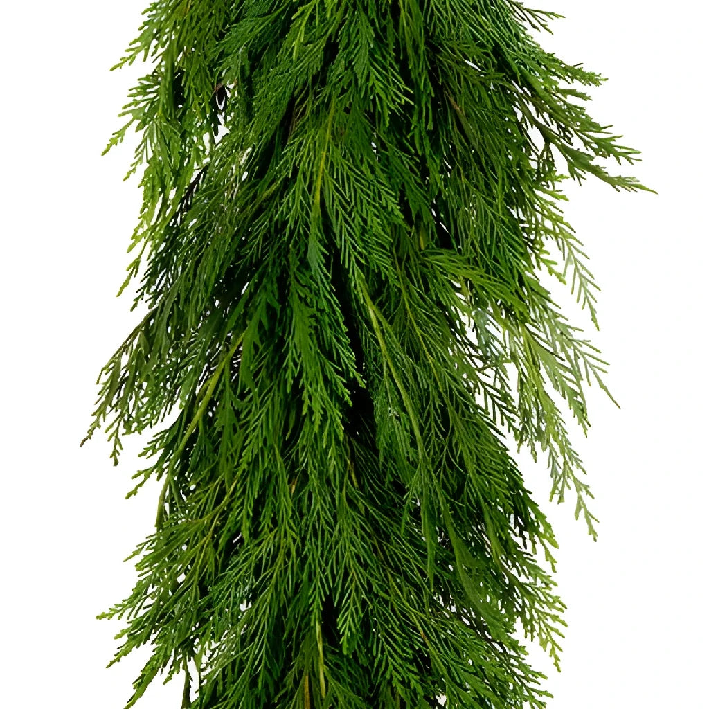 Garland- Leyland Cedar 10'