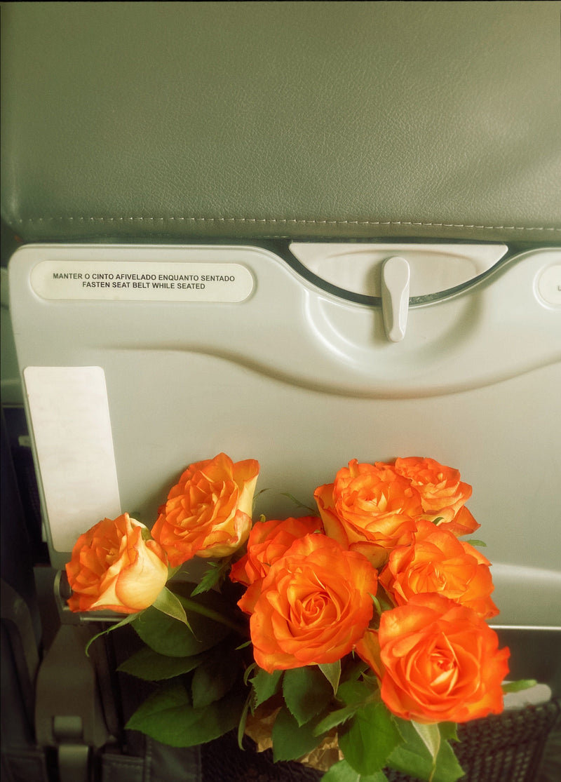 Florist Near Nashville Airport: Fresh Bouquets Ready When You Need Them