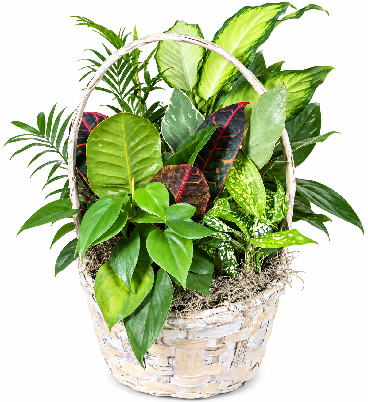 The Garden Basket