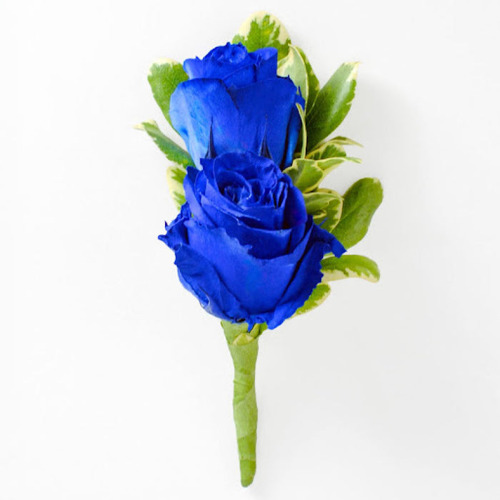 Blue Spray Rose