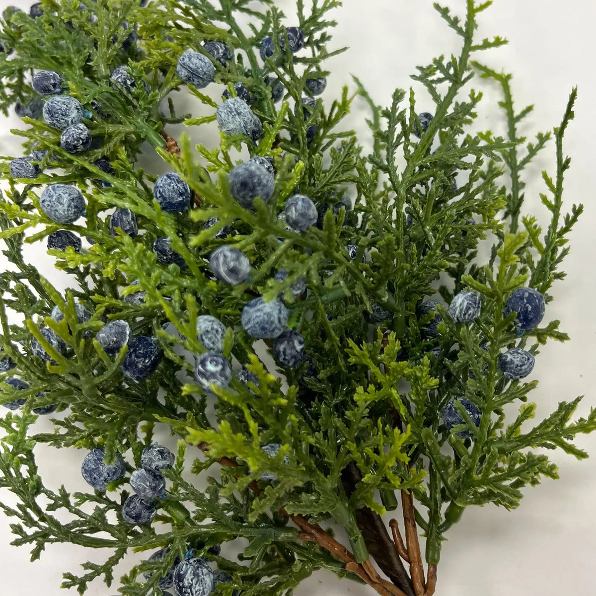 Juniper
