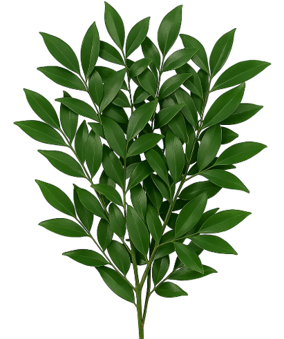 Nagi