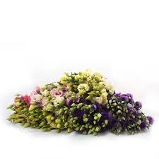 Lisianthus