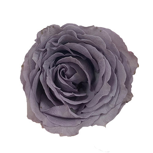 Silver Mikado Spray Rose - Default Title
