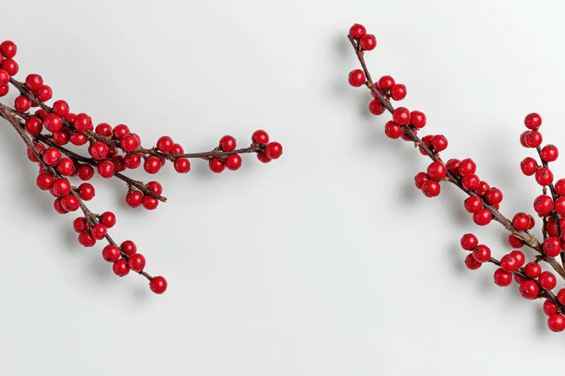 Winterberry